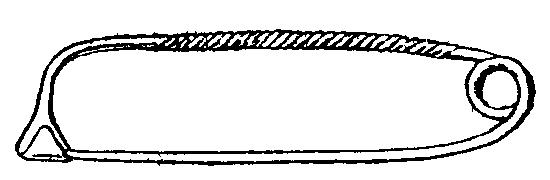 Fig. 1.--Early type from Peschiera.