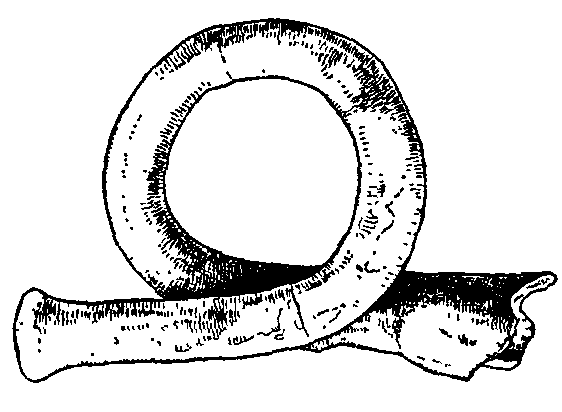 Model of Roman Bugle.